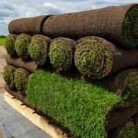 Premium Turf