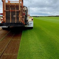 Premium Turf